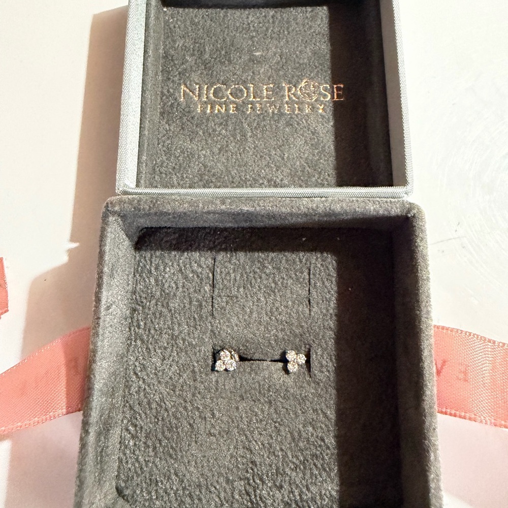 Nicole Rose Silver Crystal Earrings